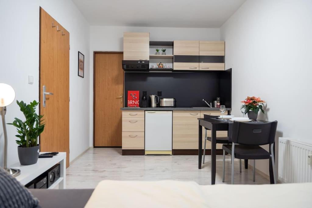 Krenova 1+kk Apartment