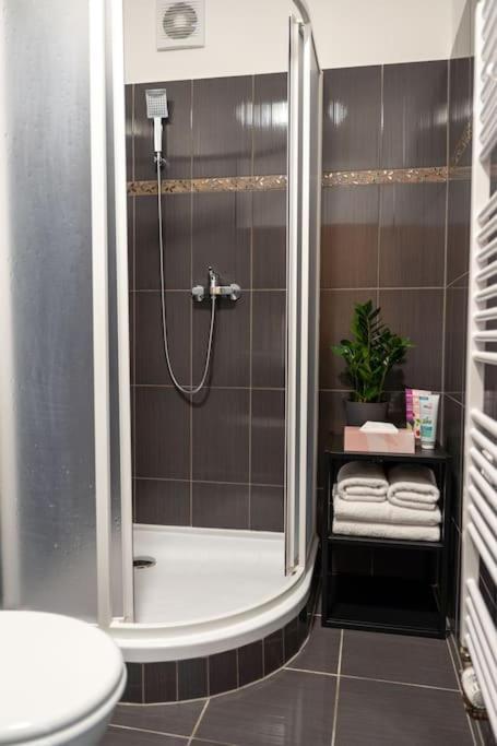 Apartment Krenova 1+kk